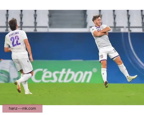 佩佩41岁征战欧洲杯赛场赛后光荣退役告别足球生涯